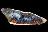 Polished Trent Agate With Stibnite & Realgar - Oregon #184748-1